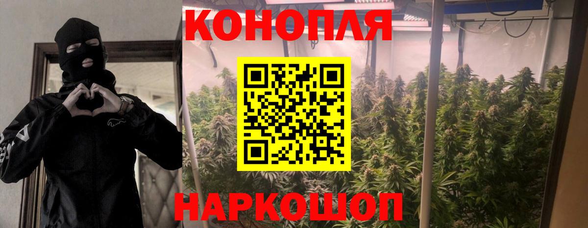 Псилоцибиновые грибы Саяногорск